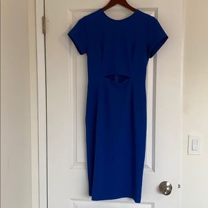 Aritzia Babaton Dress